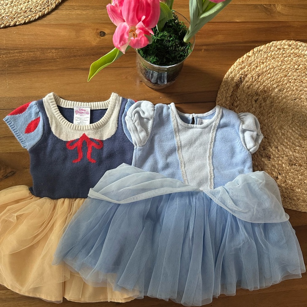 Disney Princess Blue and Cream Sweater